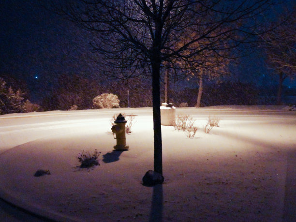 树与雪落在沙漠图片下载