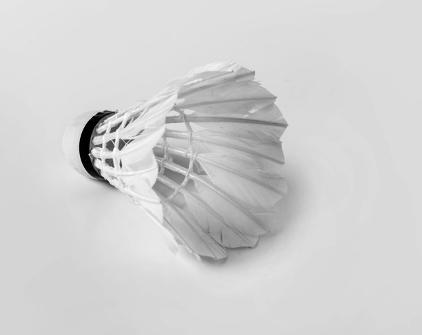 羽毛球在一个白色的背景单色图片下载