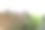 前景中的岩石，阿尔巴诺湖，在罗马省，意大利。图片下载
