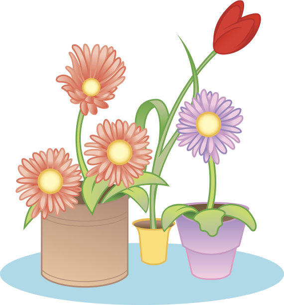 郁金香雏菊C图片下载