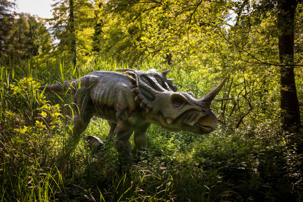 Styracosaurus恐龙图片下载