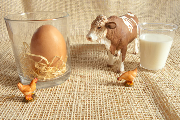 农场里的天然食物图片下载