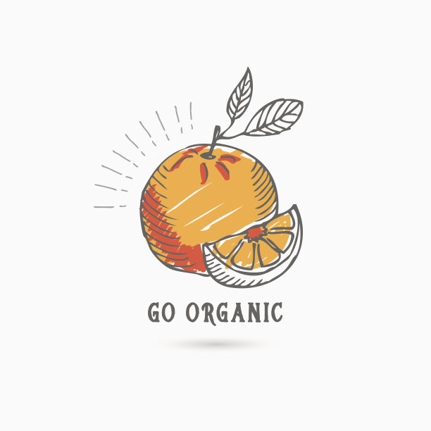 健康的生活方式的图标。图片下载