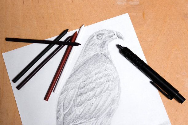 用石墨抓铅笔画鹰。图片下载