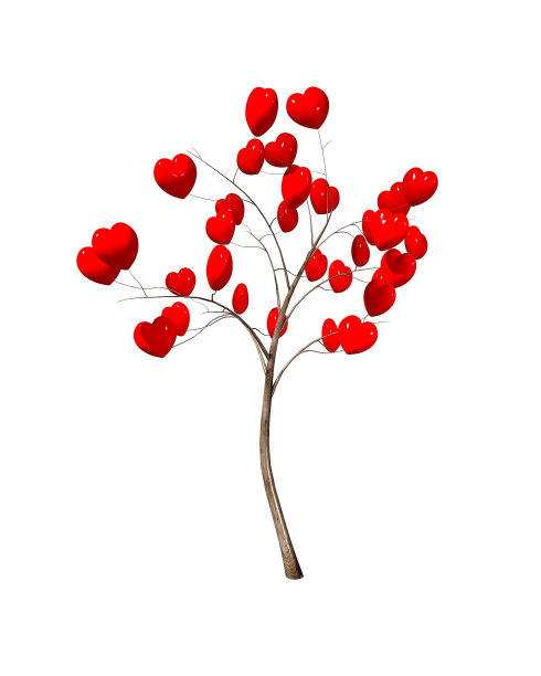 心树孤立在白色背景上图片下载