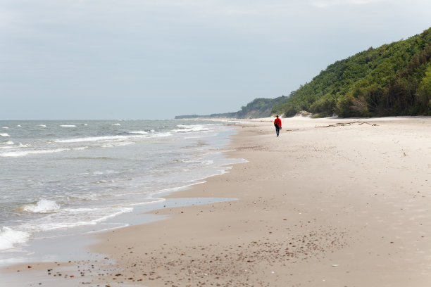 独自走在海边图片下载