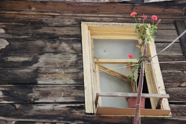 粉红色的花朵图片下载