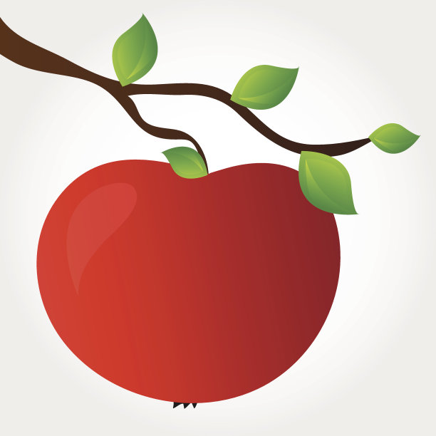 树枝上的苹果图片下载