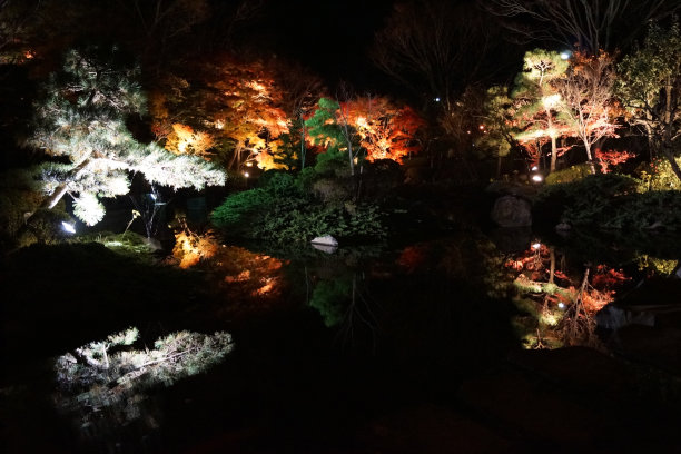 Oiso Jouyama公园图片下载