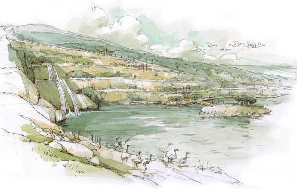 湖与鸟类图片下载