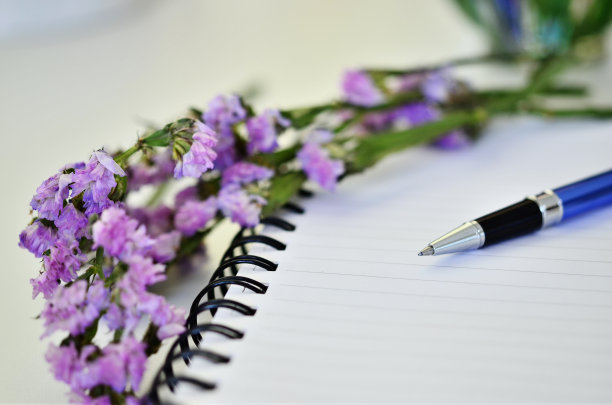 笔在日记图片下载