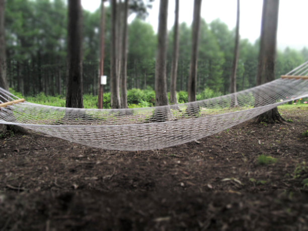 森林中的小屋图片下载