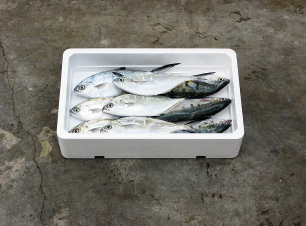 新鲜的地中海Derbio图片下载