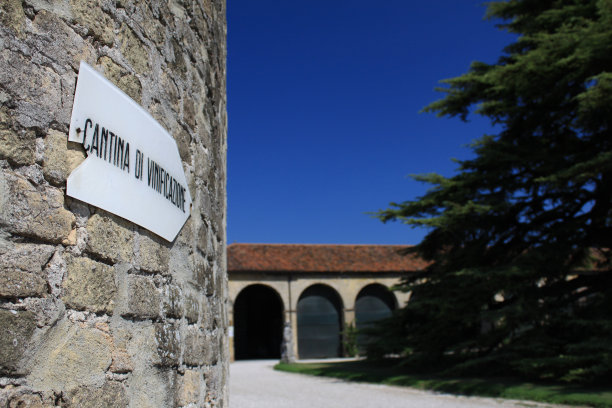 在特雷维索酒庄图片下载