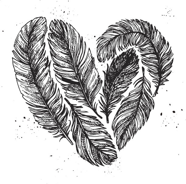 手绘矢量复古插图-羽毛在爱。图片下载