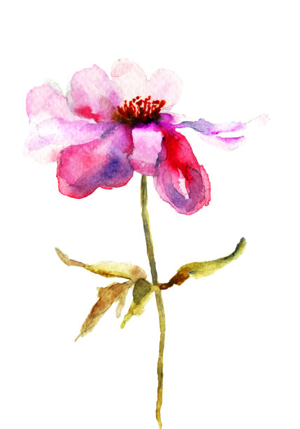 美丽的粉红色的花图片下载