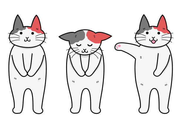 鞠躬的猫图片下载
