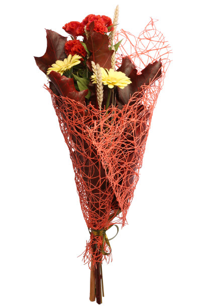 一束黄色非洲菊图片下载