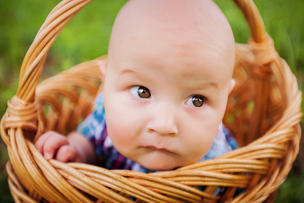 篮子里的小男孩，特写镜头图片下载