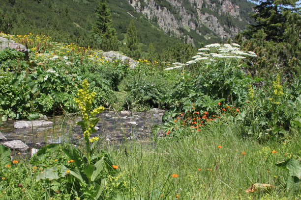 山间的河流图片下载