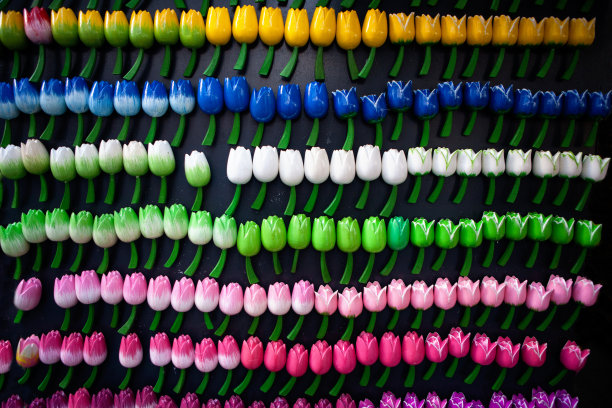 阿姆斯特丹浮动花卉市场的彩色纪念品郁金香图片下载