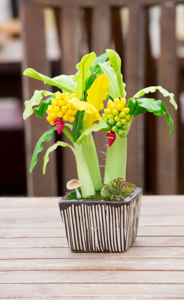 人造香蕉树展示在桌子上图片下载