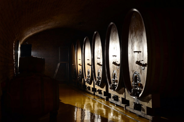 轻在酒窖与大桶。图片下载