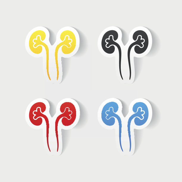 现实设计元素:肾脏，医学图片下载