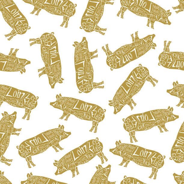 美国猪肉无缝分割模式图片下载