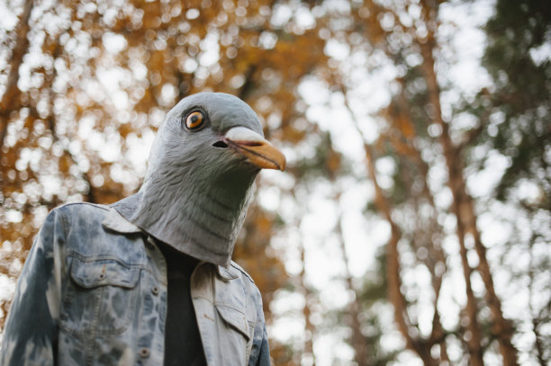 一个戴着诡异鸽子鸟面具的怪人图片下载