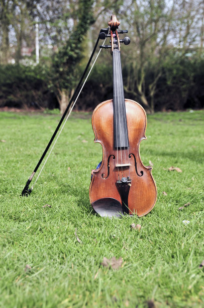 旧小提琴图片下载