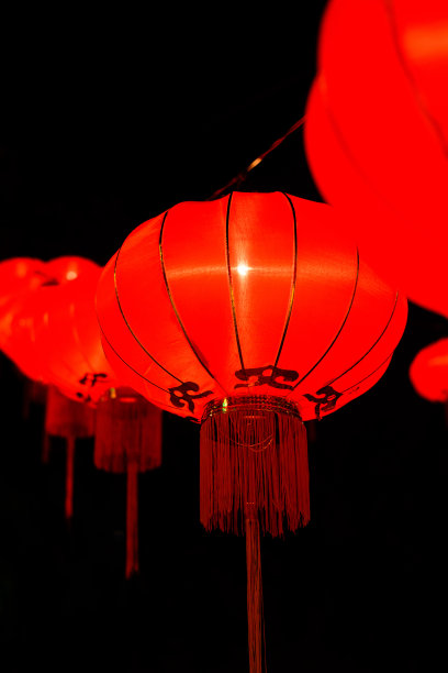 春节灯会图片素材ID：123666508