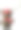 卡通挥舞的黑熊与讲话气泡图片下载