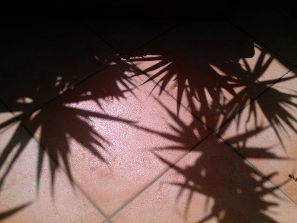 阳台上有棕榈树的影子。图片下载