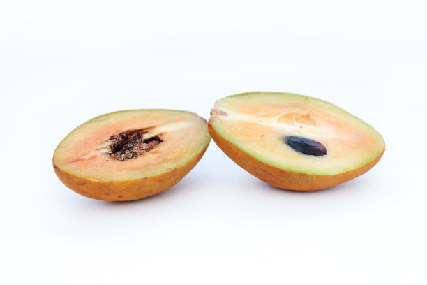 人心果图片下载