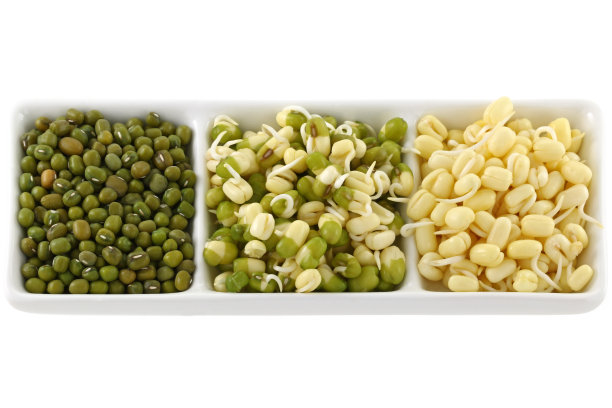 泡干绿豆图片下载