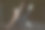 女孩在晚上跳舞。图片下载