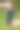 大人给孩子吃葡萄，特写图片下载