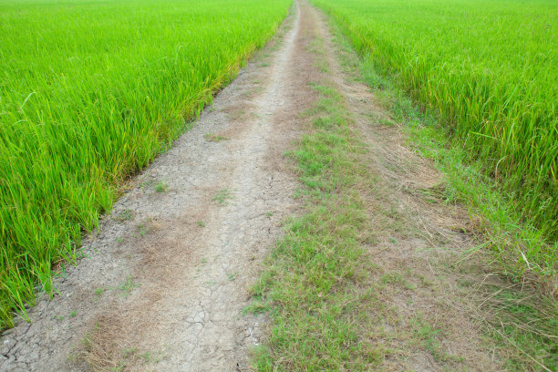 越野赛道图片下载