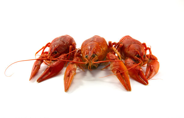煮熟的小龙虾图片下载