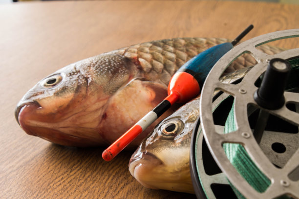 钓具鲤鱼图片下载