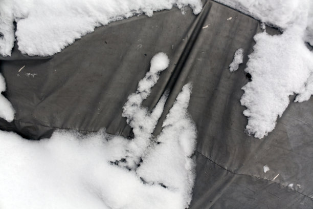 老在雪中倾斜。图片下载