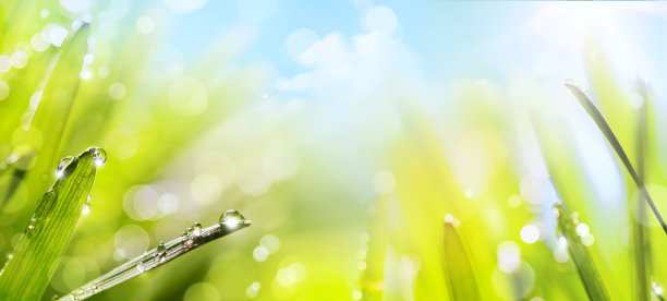 抽象艺术春天的自然背景素材图片