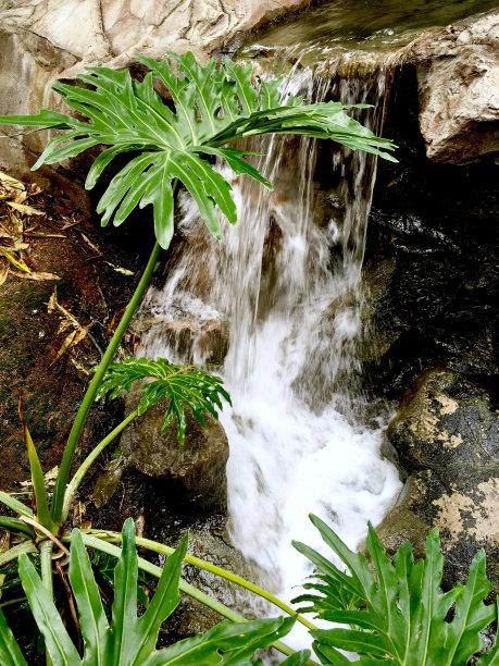 热带瀑布图片下载