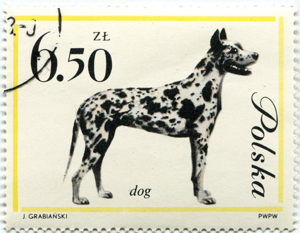波兰邮票，显示丑角大丹犬图片下载