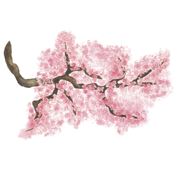 水彩枝花樱花素材图片