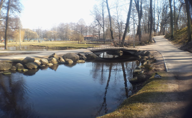 春天。公园图片下载