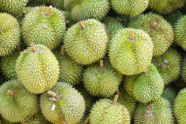 一堆新鲜榴莲在市场上展示图片下载