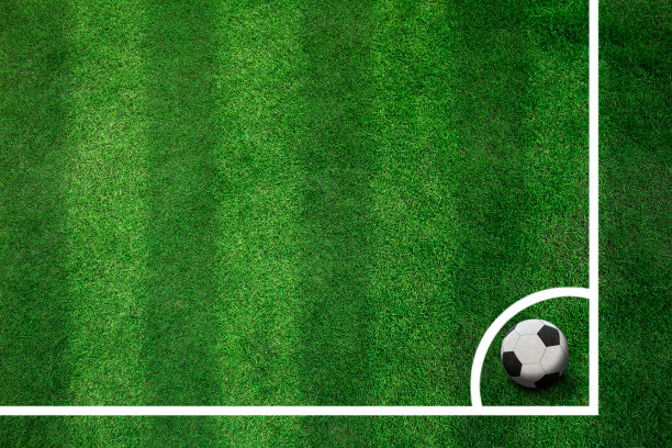 足球场上的康纳图片下载