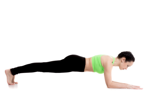 海豚平板瑜伽图片下载